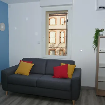 Apartment Appart Hotel Albi