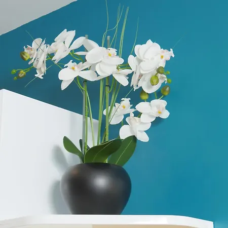 Appart Hotel Albi Apartment *